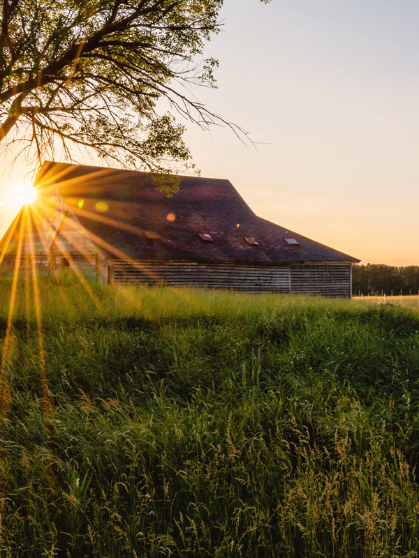 barn-sunbeam